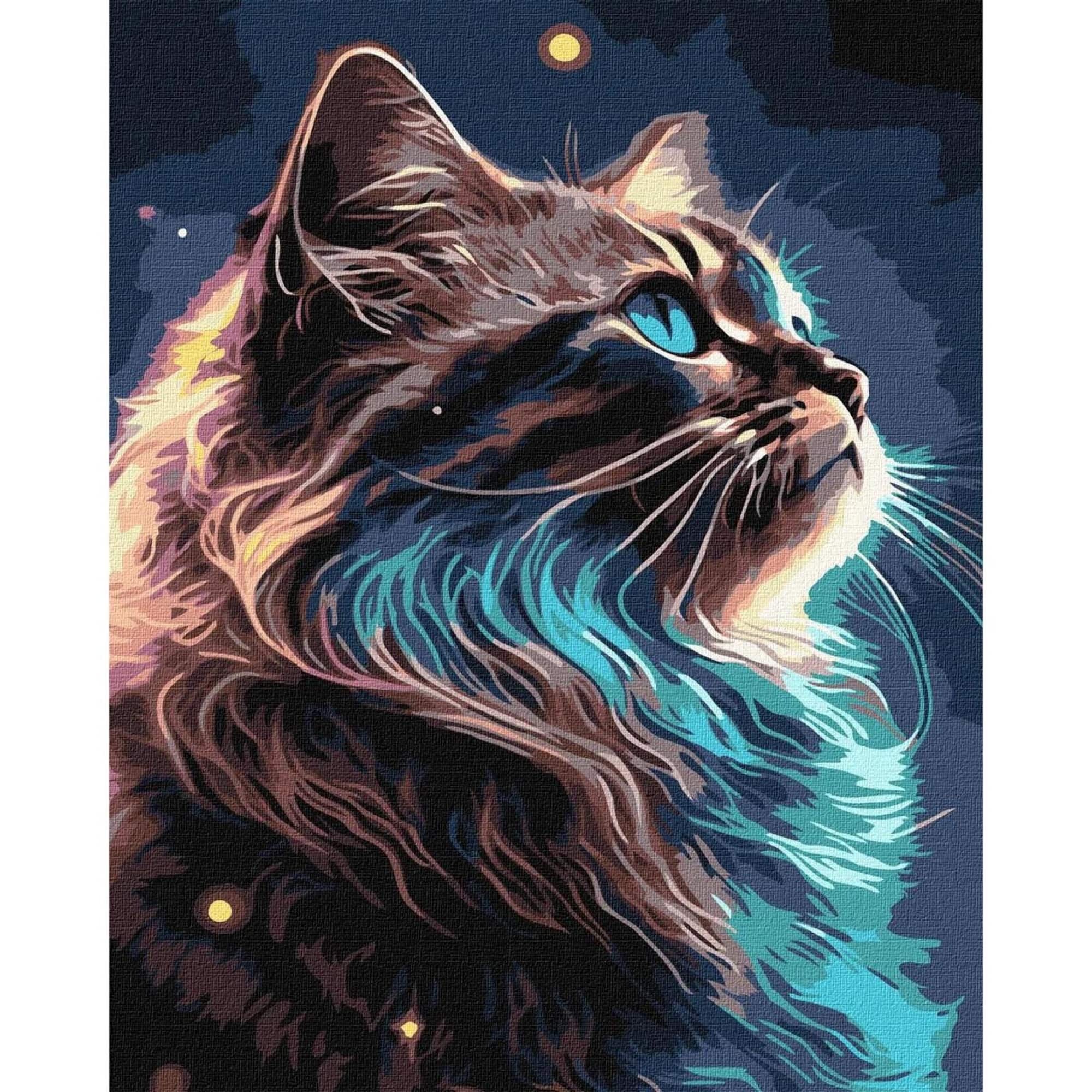 Ideyka The magic of Space Painting by Numbers Kit